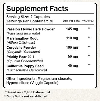 Beyond Nerve – Beyond Nutrition Research